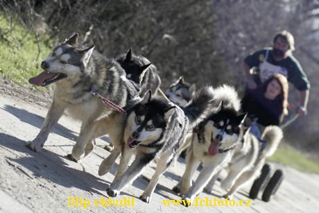 Hustopece 08 - 220.JPG